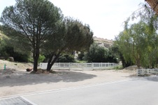 Enlarge photo 162