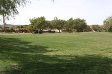 Enlarge photo 163