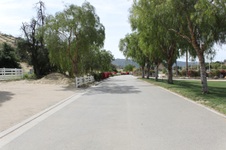 Enlarge photo 165