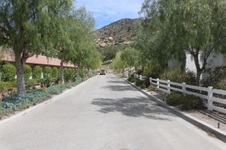 Enlarge photo 166