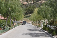 Enlarge photo 167