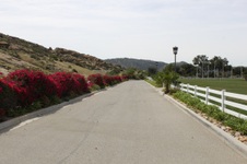 Enlarge photo 175