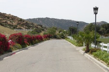 Enlarge photo 176