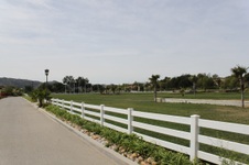 Enlarge photo 177