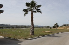 Enlarge photo 182