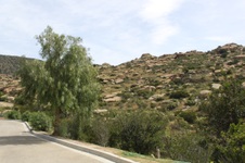 Enlarge photo 183