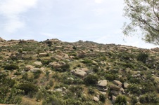 Enlarge photo 185