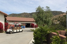 Enlarge photo 187