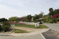 Enlarge photo 194