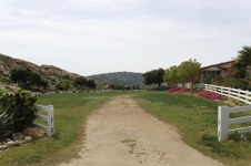Enlarge photo 198