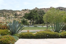 Enlarge photo 202