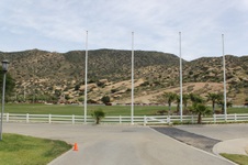 Enlarge photo 223