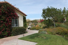 Enlarge photo 236
