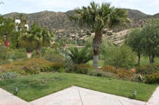 Enlarge photo 248