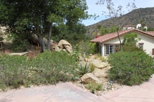 Enlarge photo 254