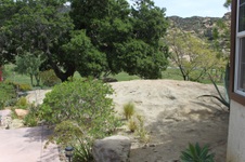 Enlarge photo 256