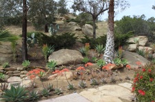 Enlarge photo 265