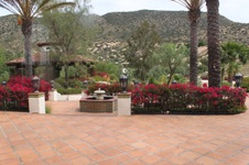 Enlarge photo 309