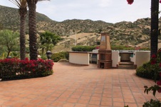 Enlarge photo 310