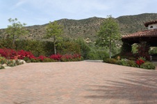Enlarge photo 403