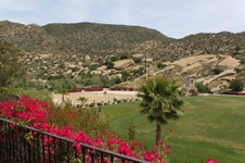 Enlarge photo 419