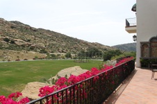 Enlarge photo 421