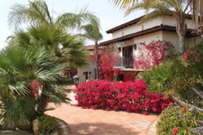 Enlarge photo 425