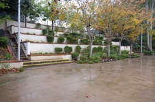 Enlarge photo 21