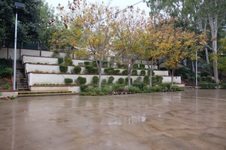 Enlarge photo 24