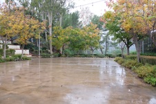 Enlarge photo 25