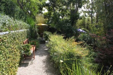 Enlarge photo 46