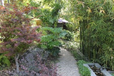 Enlarge photo 48