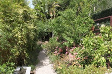 Enlarge photo 49