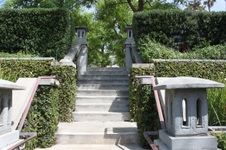 Enlarge photo 50