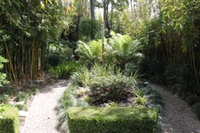 Enlarge photo 52