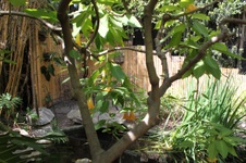 Enlarge photo 56