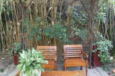 Enlarge photo 58