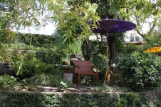 Enlarge photo 60