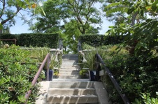 Enlarge photo 62