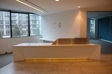 Suite 250