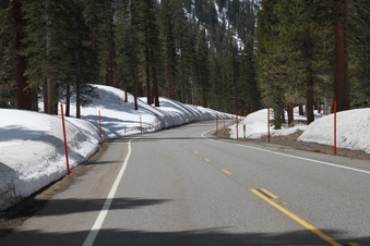 Enlarge photo 41