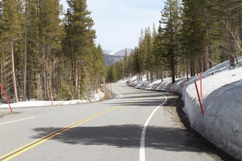Enlarge photo 42