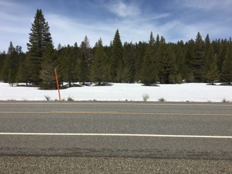 Enlarge photo 32