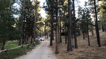 Enlarge photo 4