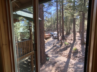 Enlarge photo 102