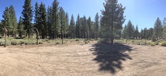Enlarge photo 13