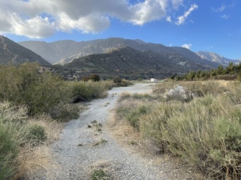 Enlarge photo 15