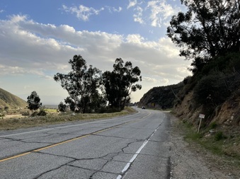Enlarge photo 34