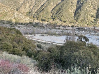 Enlarge photo 37
