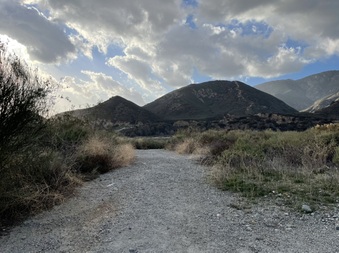 Enlarge photo 10